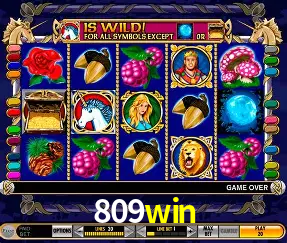 VIP Casino 809win